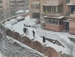 亚博体育-辽宁男篮签下新大外援